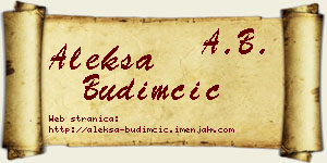 Aleksa Budimčić vizit kartica